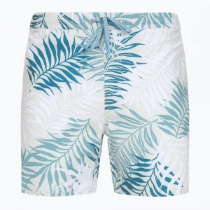 Obrázek produktu Pánské plavecké šortky Quiksilver Wild Fern Volley 17" Modrá