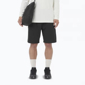 Obrázek produktu Pánské šortky Salomon Wayfarer Ease 2.0 deep black