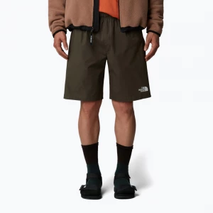 Obrázek produktu Pánské šortky The North Face Limestone new taupe green