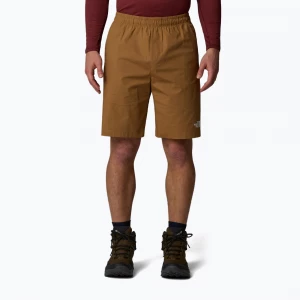 Obrázek produktu Pánské šortky The North Face Limestone utility brown