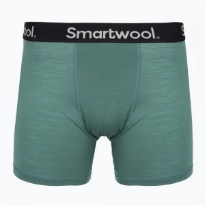 Obrázek produktu Pánské termo boxerky Smartwool Everyday Merino Boxer Brief Boxed black dusty teal Zelená