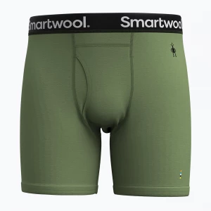 Obrázek produktu Pánské termo boxerky Smartwool Merino Boxer Boxed fern green