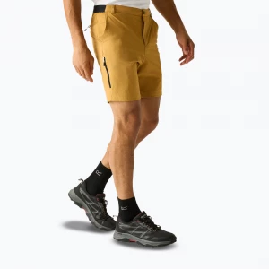 Obrázek produktu Pánské trekingové šortky REGATTA Anti Insect Travel Light wood brown