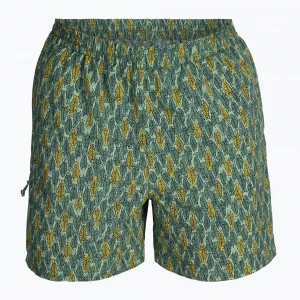 Obrázek produktu Pánské trekové kalhoty Royal Robbins All-In algae flash pt Zelená