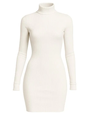 Obrázek produktu PANTHEROAR Šaty 'High Neck Mini Dress' režná