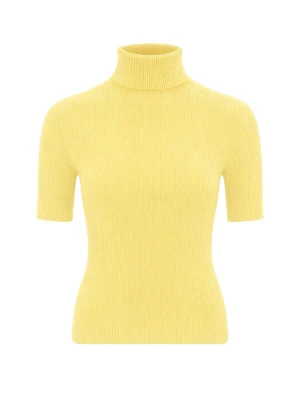 Obrázek produktu PANTHEROAR Svetr 'High Neck Short Sleeve Top' světle žlutá