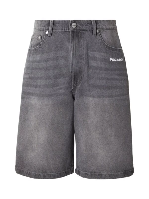 Obrázek produktu Pegador Džíny 'KOLAR JORTS' šedá