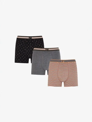 Obrázek produktu Penti Boxerky 'PENTI Herren Boxer Ember gestreift' karamelová