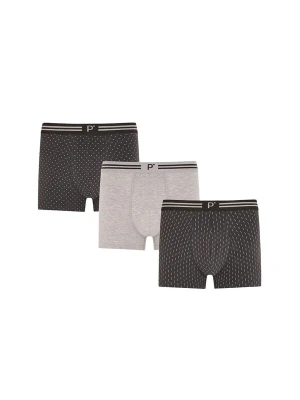 Obrázek produktu Penti Boxerky 'PENTI Herren-Boxershorts Darkmark mit Punktmuster' antracitová