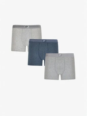 Obrázek produktu Penti Boxerky 'PENTI Herren Shades Boxer' mix barev