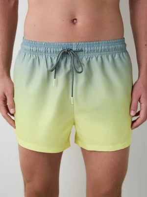 Obrázek produktu Penti Plavecké šortky 'PENTI Herren-Badeshorts mit Farbverlauf und Streifen' mix barev