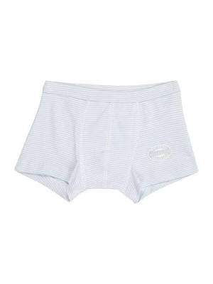 Obrázek produktu PETIT BATEAU Spodní prádlo světlemodrá / bílá