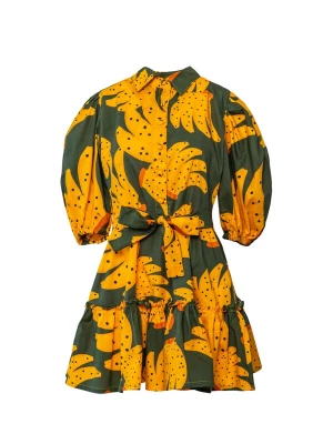 Obrázek produktu Pineapples Don't Have Sleeves Šaty 'Ana Banana' zelená