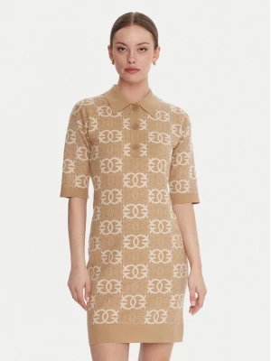 Obrázek produktu PINKO Úpletové šaty Nothing 106039 A2YD Béžová Regular Fit