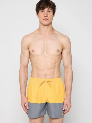 Obrázek produktu Plavecké šortky Nike