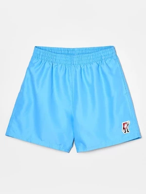 Obrázek produktu Plavecké šortky Nike Performance