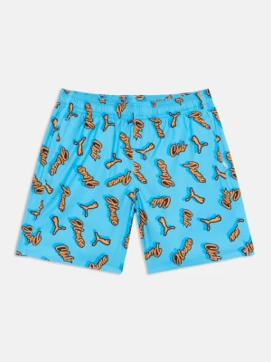 Obrázek produktu Plavecké šortky Puma