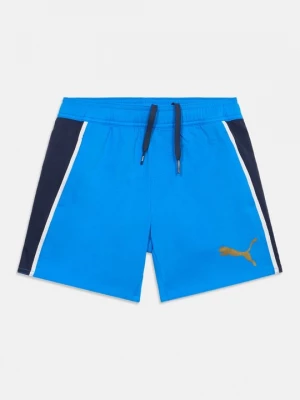 Obrázek produktu Plavecké šortky Puma modrá