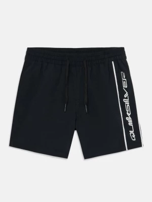 Obrázek produktu Plavecké šortky Quiksilver