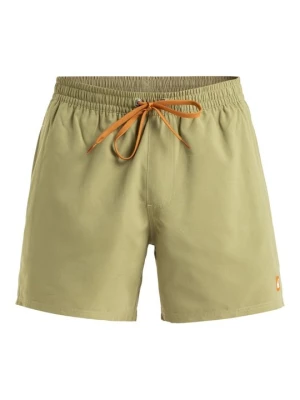 Obrázek produktu Plavecké šortky Quiksilver