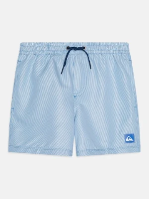 Obrázek produktu Plavecké šortky Quiksilver