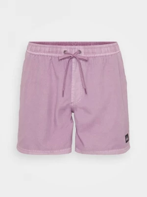 Obrázek produktu Plavecké šortky Quiksilver fialová