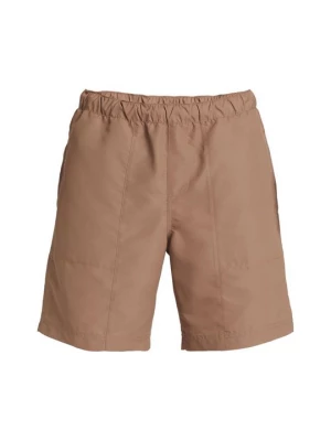 Obrázek produktu Plavecké šortky Quiksilver hnědá