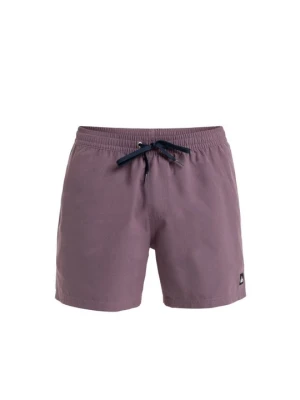 Obrázek produktu Plavecké šortky Quiksilver lila