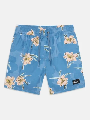 Obrázek produktu Plavecké šortky Quiksilver modrá