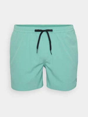 Obrázek produktu Plavecké šortky Quiksilver zelená