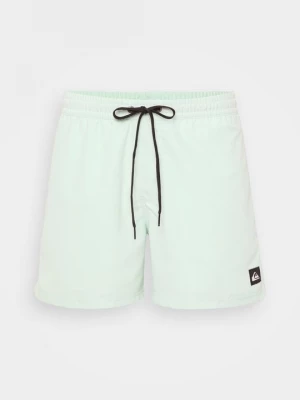 Obrázek produktu Plavecké šortky Quiksilver zelená
