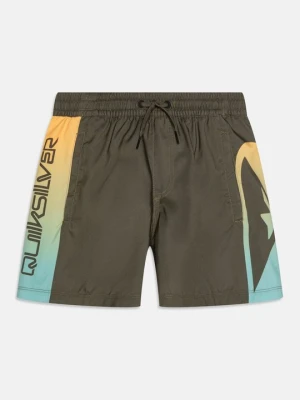 Obrázek produktu Plavkové kalhotky Quiksilver khaki