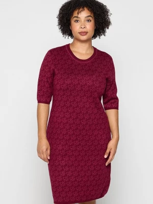 Obrázek produktu Pletené šaty DKNY bordó