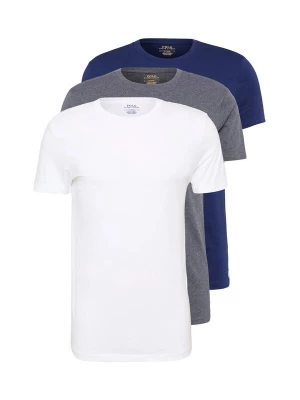 Obrázek produktu Polo Ralph Lauren Tričko modrá / šedá / bílá
