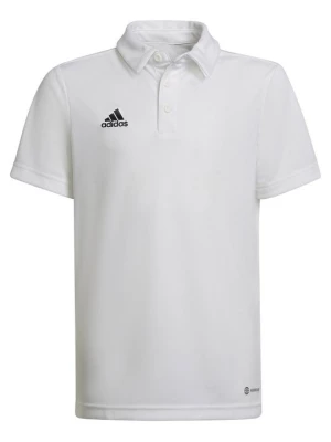 Obrázek produktu Polotričko Adidas