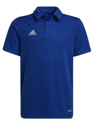 Obrázek produktu Polotričko Adidas modrá