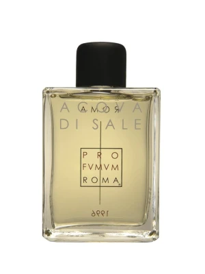 Obrázek produktu Profvmvm Roma Acqva Di Sale Eau de Parfum 100 ml