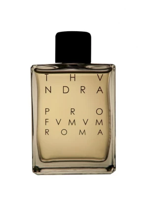 Obrázek produktu Profvmvm Roma Thvndra Eau de Parfum 100 ml