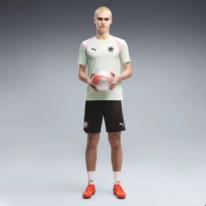 Obrázek produktu PUMA FC St Pauli Slim Training Shorts Men, Clothing, Black/Sage Glow