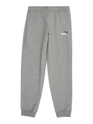 Obrázek produktu PUMA Kalhoty 'ESS No. 1' kámen / bílá