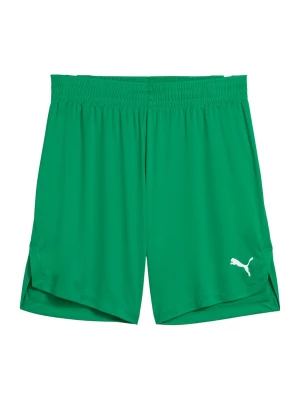 Obrázek produktu PUMA Sportovní kalhoty 'Teamjaws Starter' zelená / bílá