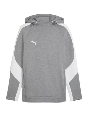 Obrázek produktu PUMA Sportovní mikina 'TeamEVOSTRIPE' šedá / světle šedá