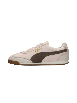 Obrázek produktu PUMA Tenisky 'Arizona Wine Club' hnědá / růže / pastelově růžová