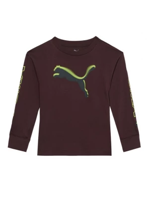 Obrázek produktu PUMA Tričko 'STREET' čokoládová / limetková / petrolejová