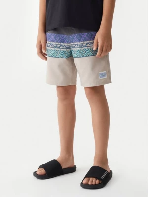 Obrázek produktu Quiksilver Plavecké šortky Everyday Panel 17 EQBBS03724 Barevná Regular Fit