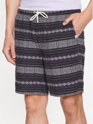 Obrázek produktu Quiksilver Sportovní kraťasy Taxeryd EQYWS03769 Šedá Regular Fit