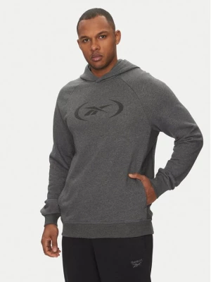 Obrázek produktu Reebok Mikina 100214853 Šedá Regular Fit