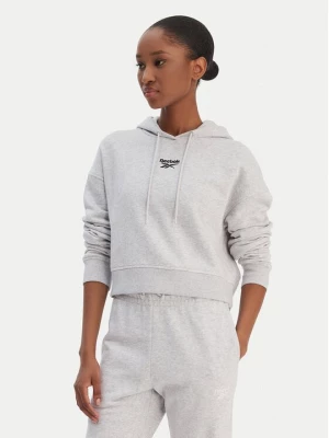 Obrázek produktu Reebok Mikina Brice RK25495CCW Šedá Regular Fit