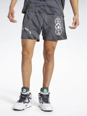Obrázek produktu Reebok Sportovní kraťasy Classics Block Party Shorts HS9179 Šedá