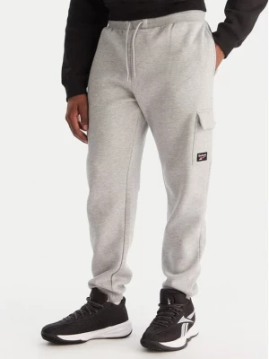 Obrázek produktu Reebok Teplákové kalhoty Wada RK25147CCM Šedá Regular Fit